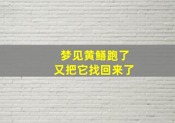 梦见黄鳝跑了又把它找回来了