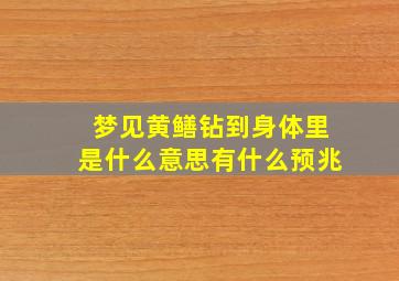 梦见黄鳝钻到身体里是什么意思有什么预兆