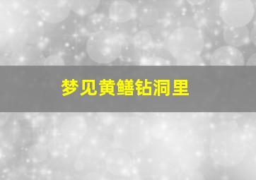 梦见黄鳝钻洞里