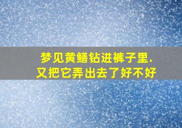 梦见黄鳝钻进裤子里.又把它弄出去了好不好