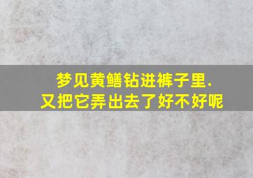 梦见黄鳝钻进裤子里.又把它弄出去了好不好呢