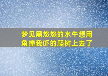 梦见黑悠悠的水牛想用角撞我吓的爬树上去了