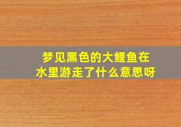 梦见黑色的大鲤鱼在水里游走了什么意思呀