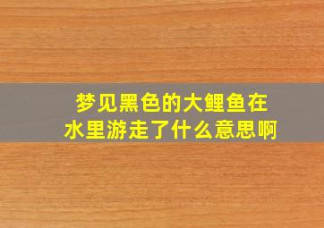 梦见黑色的大鲤鱼在水里游走了什么意思啊