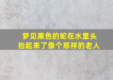 梦见黑色的蛇在水里头抬起来了像个慈祥的老人