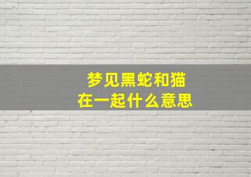 梦见黑蛇和猫在一起什么意思