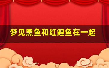 梦见黑鱼和红鲤鱼在一起