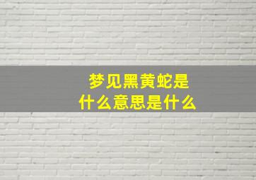 梦见黑黄蛇是什么意思是什么