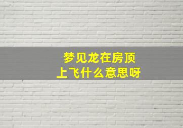 梦见龙在房顶上飞什么意思呀