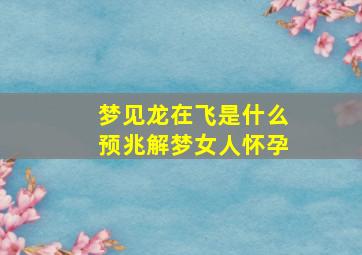 梦见龙在飞是什么预兆解梦女人怀孕