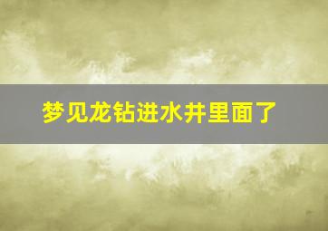 梦见龙钻进水井里面了