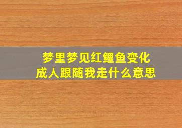 梦里梦见红鲤鱼变化成人跟随我走什么意思