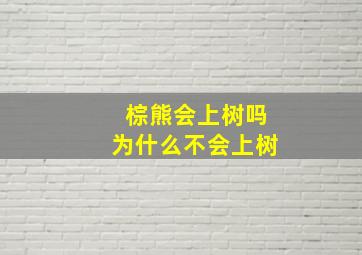 棕熊会上树吗为什么不会上树