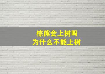 棕熊会上树吗为什么不能上树