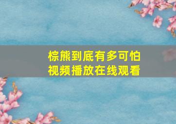 棕熊到底有多可怕视频播放在线观看