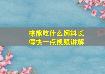 棕熊吃什么饲料长得快一点视频讲解