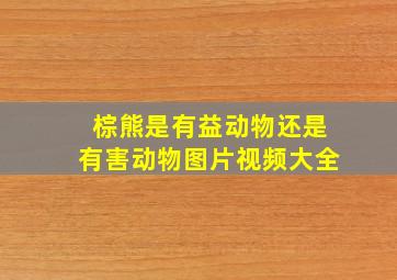 棕熊是有益动物还是有害动物图片视频大全