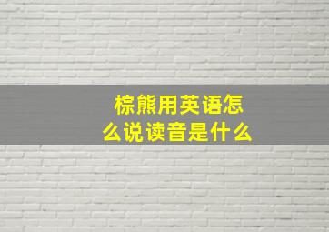 棕熊用英语怎么说读音是什么