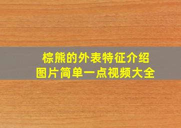 棕熊的外表特征介绍图片简单一点视频大全