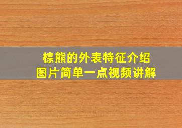 棕熊的外表特征介绍图片简单一点视频讲解