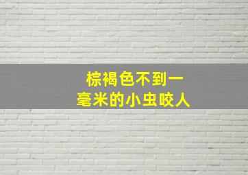 棕褐色不到一毫米的小虫咬人