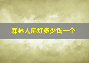 森林人尾灯多少钱一个