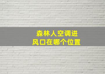 森林人空调进风口在哪个位置