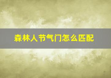 森林人节气门怎么匹配