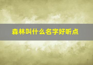 森林叫什么名字好听点