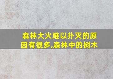 森林大火难以扑灭的原因有很多,森林中的树木