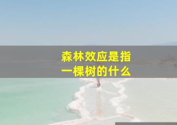 森林效应是指一棵树的什么