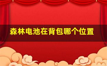 森林电池在背包哪个位置