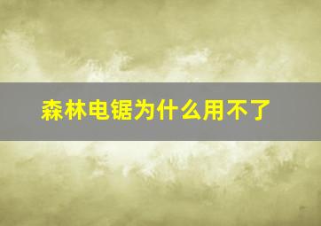 森林电锯为什么用不了