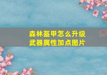 森林盔甲怎么升级武器属性加点图片