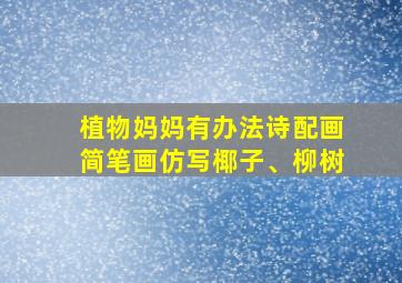 植物妈妈有办法诗配画简笔画仿写椰子、柳树