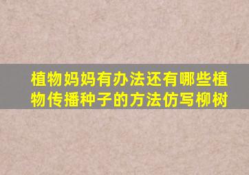 植物妈妈有办法还有哪些植物传播种子的方法仿写柳树