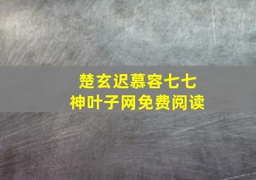 楚玄迟慕容七七神叶子网免费阅读