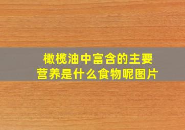 橄榄油中富含的主要营养是什么食物呢图片