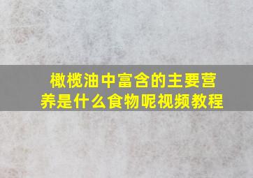 橄榄油中富含的主要营养是什么食物呢视频教程