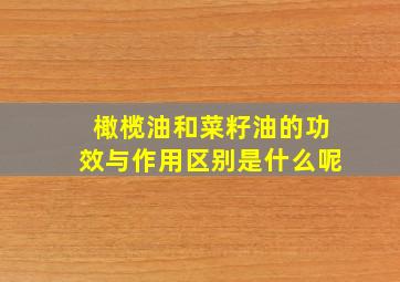 橄榄油和菜籽油的功效与作用区别是什么呢