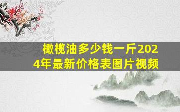 橄榄油多少钱一斤2024年最新价格表图片视频