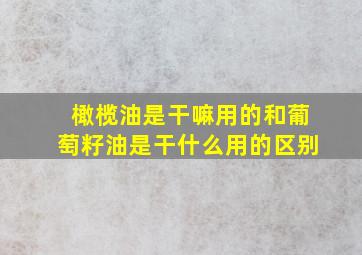 橄榄油是干嘛用的和葡萄籽油是干什么用的区别