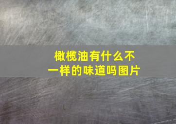 橄榄油有什么不一样的味道吗图片