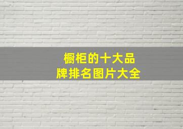 橱柜的十大品牌排名图片大全