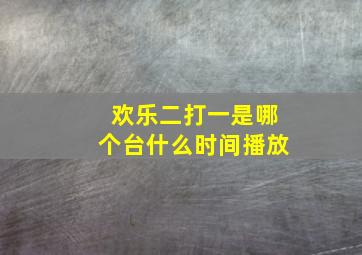 欢乐二打一是哪个台什么时间播放