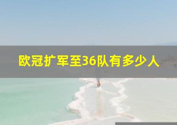 欧冠扩军至36队有多少人