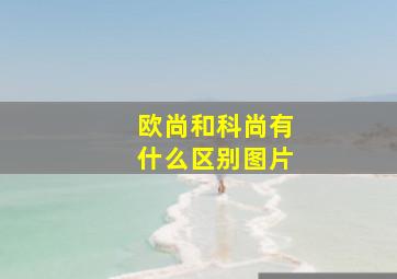 欧尚和科尚有什么区别图片