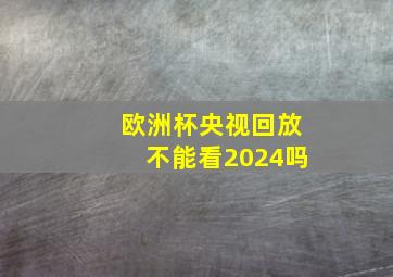 欧洲杯央视回放不能看2024吗