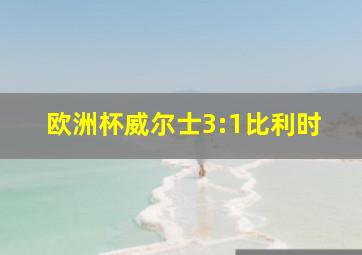 欧洲杯威尔士3:1比利时