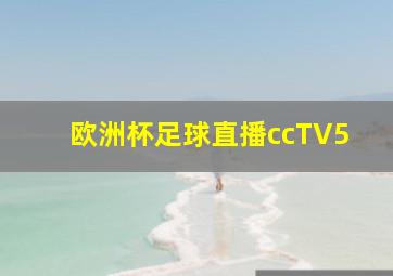 欧洲杯足球直播ccTV5